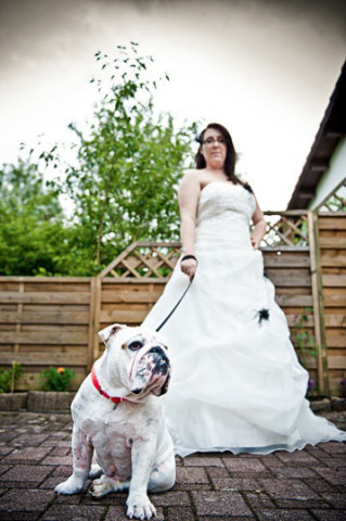 braut hund